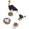 Generic Realistico Ciclo di Vita dello Struzzo Giocattolo per Bambini Gioco di Apprendimento Ciclo di Crescita degli Animali, Confezione da 4 Materiale Didattico per L'aula Scolastica