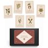 Silkflair I Tarocchi delle Spezie 22 carte con libro interpretativo | Versione con scatola nera | Idea regalo originale per amanti di cucina, spezie e giochi simbolici (scatola nera)