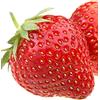 Generico Pianta di FRAGOLA a FRUTTO GIGANTE 'ANNABELLE' - in vaso: Ø 14 cm