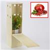 FINCA CASAREJO Melograno nano - Arbusto decorativo - Giovani germogli da 30 cm ricevuti in una scatola di legno riutilizzabile - 2 unità
