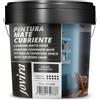 JOVIRA PINTURAS Pittura di copertura opaco. Pittura per interni ed esterni con eccellente potere coprente. (11 Kg, Grigio Antracite)