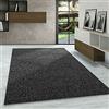 Carpetsale24 Tappeti a Pelo Corto, Colore Antracite, Unicolor-monocroma, 107401, Tappeto Rettangolare, Tappeto Soggiorno, 200 x 290 cm
