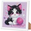 Arttoplus Kit per Pittura con Diamanti per Bambini Ragazzi e Ragazze con Cornice Gatto, Pittura con Diamanti per Bambini dai 4 5 6 8 10 Anni Gatto Nero, Set di Pittura con Diamanti 5D Animali per