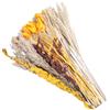 Culinavog 64 Pezzi Erba Della Pampas Bouquet di Fiori Secchi Naturali Decorazione di Erba di Pampa Essiccata Composizione Fiori Secchi per Arredamento Soggiorno Casa Vaso Tavolo Matrimonio Boho Decor