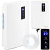BERDSEN Deumidificatore - Funzione di purificazione dell'aria - Tecnologia Peltier, UV, efficiente, facile da usare, funzionamento silenzioso, timer - 700 ml al giorno - Serbatoi d'acqua 2000 ml - Per