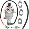 Ewillownm Compatibile con carburatore per generatori di gas Cummins Onan HomeSite Power 6500 13HP 5KW 5.5KW 5000 5500 WATT