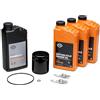 Shop Bikers COMPATIBILE per Moto (Harley-Davidson) Kit Tagliando XL 20W50 per XL Sportster, 3 Litri Olio, Filtro Nero Premium, Formula+, dal 2004