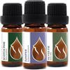 Essences Bulgaria Olio Essenziale di Legno di Cedro Biologico 10 ml | Cedrus atlantica | 100% Puro e Naturale | Non Diluito | Grado Terapeutico | Aromaterapia | Cosmetici | Senza crudeltà | Non OGM