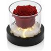Passionefiori.it Premium-rose.com Rosa stabilizzata, Rosa stabilizzata con led, Rosa eterna, Box tondo con luci, Idea Regalo Unica e Raffinata, Idea Regalo per lei, Made in Italy (Rosso)
