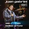 Juan Gabriel Mis 40 en Bellas Artes Parte 1 (CD)
