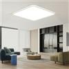 EASY EAGLE Plafoniera led soffitto, 40CM Lampadario led soffitto 4000K, 42W Lampada da Soffitto LED Moderno per Camera da Letto soggiorno Cucina Balcone Bagno Ufficio, Quadrata