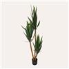 KeyHome Store Pianta Artificiale Yucca Alta 150 cm
