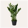 KeyHome Store Pianta Artificiale Gemma di Zanzibar H. 34 cm