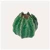 KeyHome Store Vasetto Decorativo a Forma di Cactus in Ceramica