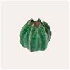 KeyHome Store Vasetto Decorativo a Forma di Cactus in Ceramica