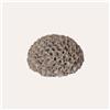 KeyHome Store Corallo Decorativo in Resina Grigio Grande