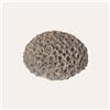 KeyHome Store Corallo Decorativo in Resina Grigio Piccolo