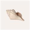 KeyHome Store Conchiglia Decorativa Bianca Lucida Soprammobile Marino in Ceramica