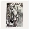 KeyHome Store Quadro con Cavallo da parete