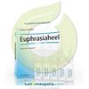 Heel GUNA HEEL EUPHRASIAHEEL COLLIRIO 15 FIALE MONODOSE