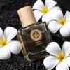 FiiLiT parfum du voyage Natural Eau De Parfum Surya Bali 50 Ml - Unisex - Spray Riutilizzabile - Fiore Di Frangipani Ylang Ylang Tuberosa - Floreale Orientale (6,5 X 10,5 X 5)