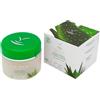 Ischia Sorgente di Bellezza ISB - Maschera Purificante Aloe Bio 100 ml con Aloe Vera e Acqua Termale dell'Isola d'Ischia