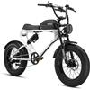 MEELOD DK300 PLUS Bicicletta elettrica stile ciclomotore retrò da 20"