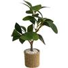 Generic Mini pianta, 1:6, modello verde per casa delle bambole con foglie in vaso, ornamento in miniatura per artigianato fai da te, scrivania, mensola, casa, davanzale, mobili, decorazioni natalizie