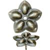 Fuxxer, 50 chiodi per decorazioni antiche, chiodo ornamentale, chiodo per imbottitura, chiodo per mobili, vintage, look antico in bronzo/ottone, 23 x 23 mm, set da 50