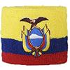 Flaggenfritze Polsino spugna Ecuador