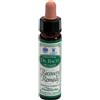 Santiveri Sa Ainsworths Recov Remedy 10 ml