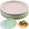 duisoad 12 Pezzi Piatti in Plastica Piatti Leggeri Infrangibili Piattis Plastica Rigida per Insalate, Frutta, Pasta e Snack, Riutilizzabili