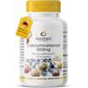 WARNKE VITALSTOFFE Carbonato di calcio in polvere compressa 500mg - Con 188mg di calcio - 100 compresse masticabili | Warnke Vitalstoffe - Qualità da farmacia tedesca