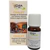 Gisa SINERGIA CHALET 10 ML