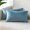 Sungeek Confezione da 2 Federe in Velluto, Fodere per Cuscini Decorativi Morbidi Copricuscini Divano di Lusso per Divano Letto Soggiorno Camera da Letto (30x50cm, Azzurro)