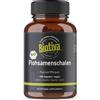 Biotiva Capsule di buccia di psillio biologica 120 g Capsule