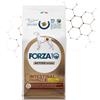 Forza10 Intestinal Colon Fase 2 Cane Agnello 10 Kg
