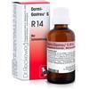 DR.RECKEWEG RECKEWEG R14 GOCCE 22ML