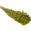 Altromercato Mazzo Di Origano Di Sicilia Bio 20 g