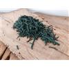 Micro Life Spirulina italiana spaghetti 50 g BIO