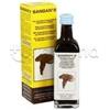 Vegetal Progress Sangan®2 60 ml BIO