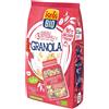 Isola Bio Granola superfrutti rossi , cocco e anacardo 350 g BIO
