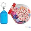 Silca Targhetta Portachiavi Tag Grande Con Givolare Silca Mm 60X35 Conf. 70 Pz