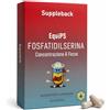 Suppleback Fosfatidilserina 400 mg Integratore Memoria e Concentrazione Cortisolo 40 Capsule PREZZO LANCIO Formula Essenziale Made in Italy