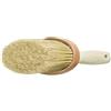 Wistoba 3001 - Spazzola per facciate, ovale, 130 x 55 mm, colore naturale