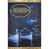 Does not apply Il Silmarillion