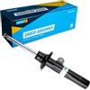 Bilstein 22-263124 Ammortizzatore