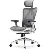 SIHOO M57 Sedia ergonomica da ufficio,design completamente traspirante,per computer,schienale alto,regolabile 3D,con braccioli e supporto lombare(Grigio Chiaro)