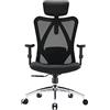 SIHOO M18 Sedia Ufficio ergonomica,Sedia scrivania, con Supporto Lombare per Poggiatesta e Bracciolo Regolabile,Schienale Alto in Rete,Portata Massima 150 kg(Nero)