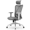 SIHOO M18 Sedia Ufficio ergonomica,Sedia scrivania, con Supporto Lombare per Poggiatesta e Bracciolo Regolabile,Schienale Alto in Rete,Portata Massima 150 kg(Grigio)